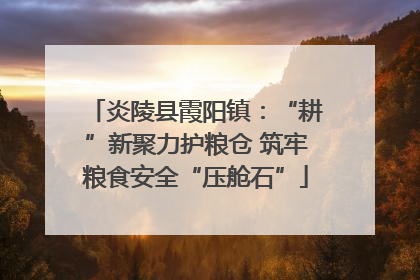 炎陵县霞阳镇：“耕”新聚力护粮仓 筑牢粮食安全“压舱石”
