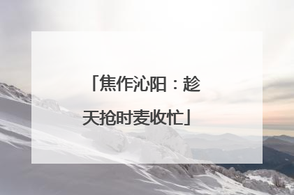 焦作沁阳：趁天抢时麦收忙