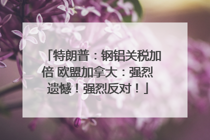 特朗普：钢铝关税加倍 欧盟加拿大：强烈遗憾！强烈反对！