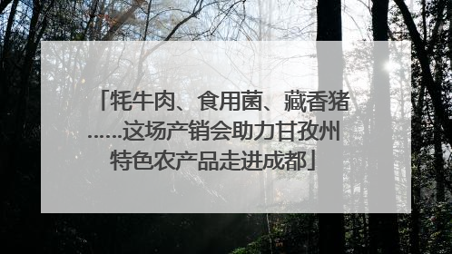 牦牛肉、食用菌、藏香猪……这场产销会助力甘孜州特色农产品走进成都