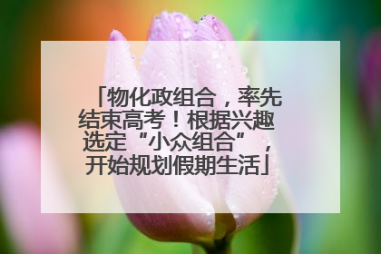 物化政组合，率先结束高考！根据兴趣选定“小众组合”，开始规划假期生活