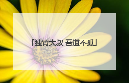 独臂大叔 吾道不孤