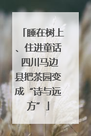 睡在树上、住进童话 四川马边县把茶园变成“诗与远方”