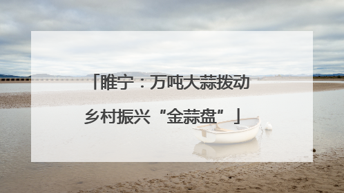 睢宁：万吨大蒜拨动乡村振兴“金蒜盘”