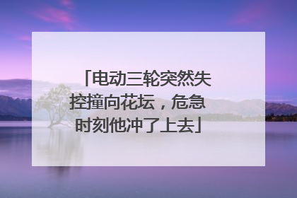 电动三轮突然失控撞向花坛，危急时刻他冲了上去