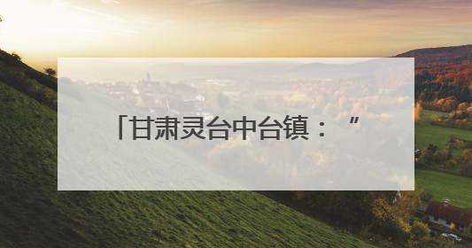 甘肃灵台中台镇：“三位一体”激活集体经济“一池春水”