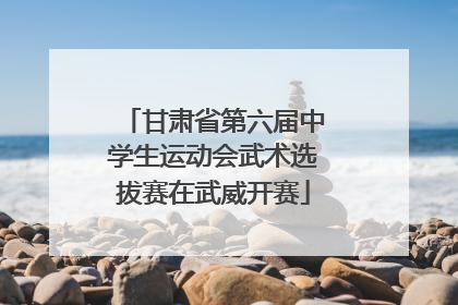 甘肃省第六届中学生运动会武术选拔赛在武威开赛