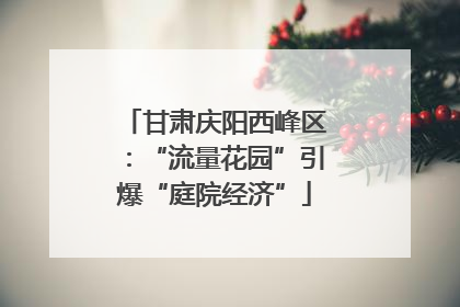 甘肃庆阳西峰区：“流量花园”引爆“庭院经济”
