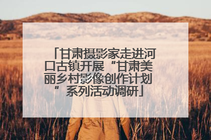 甘肃摄影家走进河口古镇开展“甘肃美丽乡村影像创作计划”系列活动调研