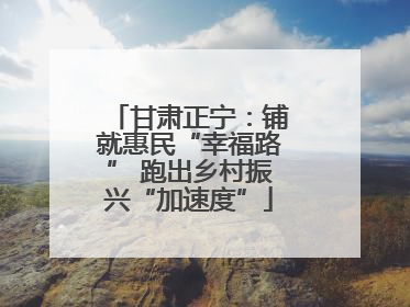 甘肃正宁：铺就惠民“幸福路” 跑出乡村振兴“加速度”