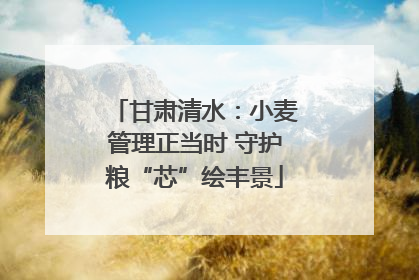 甘肃清水：小麦管理正当时 守护粮“芯”绘丰景