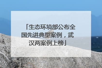 生态环境部公布全国先进典型案例，武汉两案例上榜