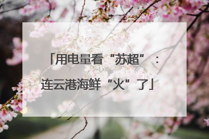 用电量看“苏超”：连云港海鲜“火”了