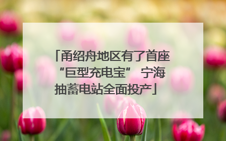 甬绍舟地区有了首座“巨型充电宝” 宁海抽蓄电站全面投产
