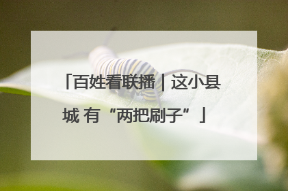 百姓看联播｜这小县城 有“两把刷子”