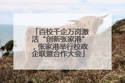 百校千企万岗激活“创新张家港”，张家港举行校政企联盟合作大会