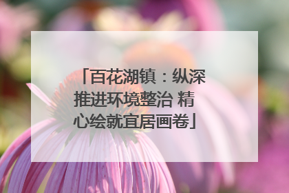 百花湖镇：纵深推进环境整治 精心绘就宜居画卷