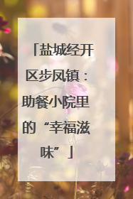 盐城经开区步凤镇：助餐小院里的“幸福滋味”