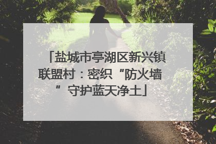 盐城市亭湖区新兴镇联盟村：密织“防火墙”守护蓝天净土