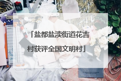 盐都盐渎街道花吉村获评全国文明村