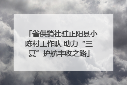 省供销社驻正阳县小陈村工作队 助力“三夏”护航丰收之路