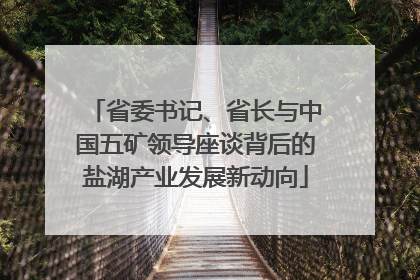 省委书记、省长与中国五矿领导座谈背后的盐湖产业发展新动向