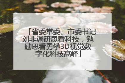 省委常委、市委书记刘非调研思看科技，勉励思看勇攀3D视觉数字化科技高峰