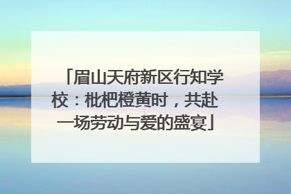 眉山天府新区行知学校：枇杷橙黄时，共赴一场劳动与爱的盛宴