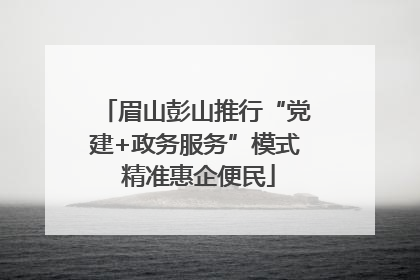 眉山彭山推行“党建+政务服务”模式 精准惠企便民