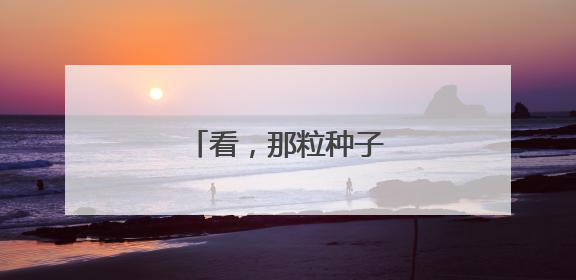 看，那粒种子正在向阳成长