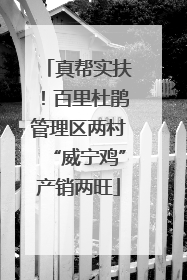 真帮实扶！百里杜鹃管理区两村“威宁鸡”产销两旺