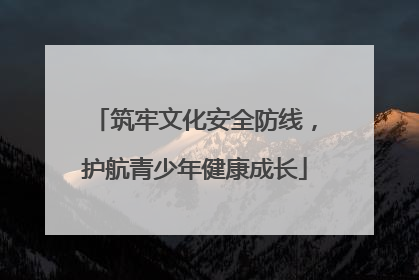 筑牢文化安全防线，护航青少年健康成长