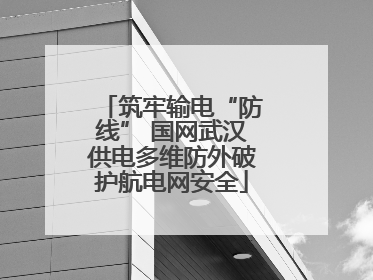 筑牢输电“防线” 国网武汉供电多维防外破护航电网安全