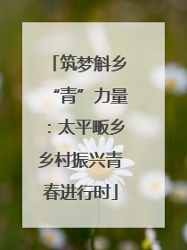 筑梦斛乡“青”力量：太平畈乡乡村振兴青春进行时