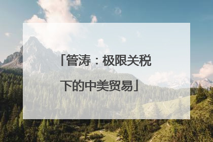 管涛：极限关税下的中美贸易