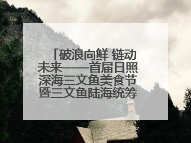 破浪向鲜 链动未来——首届日照深海三文鱼美食节暨三文鱼陆海统筹全产业链发展会议嘉宾访谈