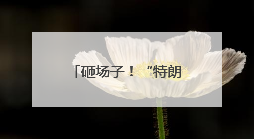 砸场子！“特朗普币晚宴”外聚集上百位抗议者 高喊“可耻”
