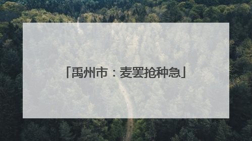 禹州市：麦罢抢种急