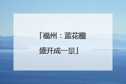 福州：蓝花楹盛开成一景