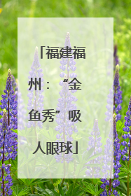 福建福州：“金鱼秀”吸人眼球