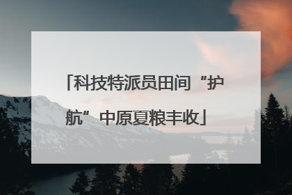 科技特派员田间“护航”中原夏粮丰收