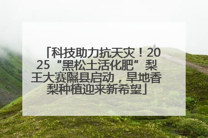 科技助力抗天灾！2025“黑松土活化肥”梨王大赛隰县启动，旱地香梨种植迎来新希望