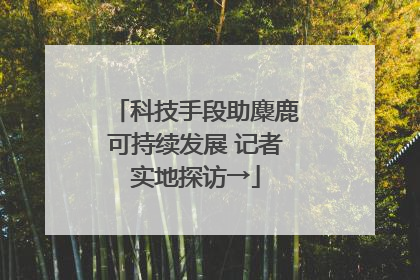 科技手段助麋鹿可持续发展 记者实地探访→