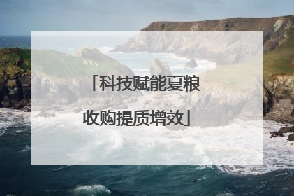 科技赋能夏粮收购提质增效
