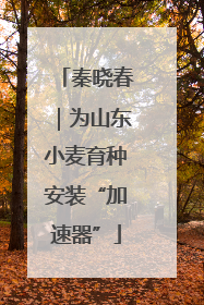 秦晓春｜为山东小麦育种安装“加速器”