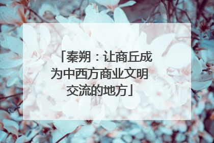 秦朔：让商丘成为中西方商业文明交流的地方