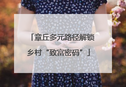 章丘多元路径解锁乡村“致富密码”
