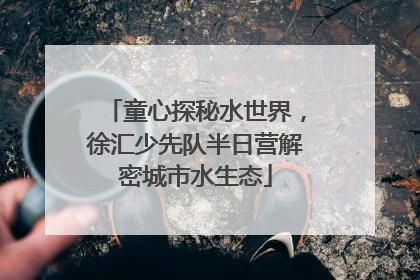 童心探秘水世界，徐汇少先队半日营解密城市水生态
