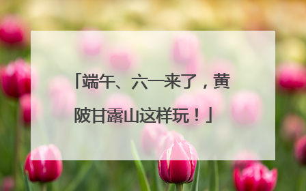 端午、六一来了，黄陂甘露山这样玩！