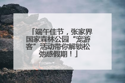 端午佳节，张家界国家森林公园“宠游客”活动带你解锁松弛感假期！